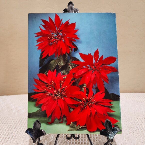 December 1958 Arizona Highways Magazine: Navajo Art, April Flower, Seasons, Xmas - Picture 16 of 16